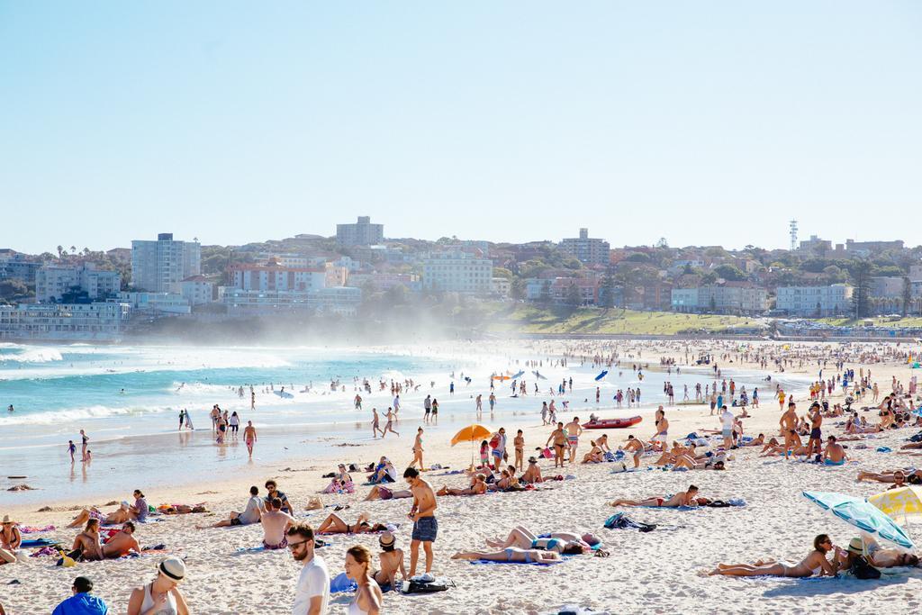 Apartment Boutique Studio On Bondi Beach Sydney